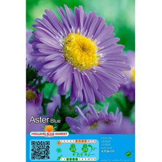 Aster Blue interface.image 3