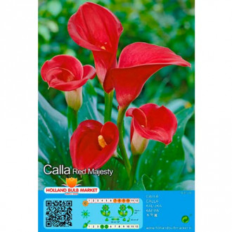 Calla Red interface.image 2
