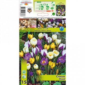 Krokus botaniczny, mix kolorów interface.image 6