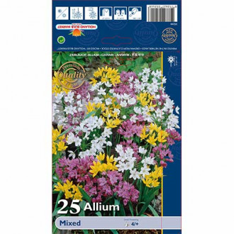 Czosnek (Allium), mix kolorów interface.image 2