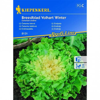Endywia Breedblad Volhart Winter Kiepenkerl interface.image 6