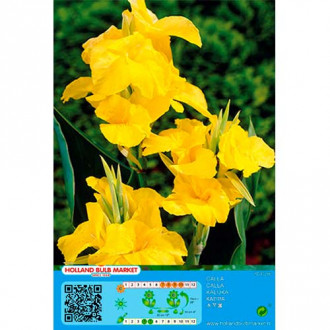 Kanna Yellow interface.image 3