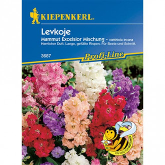 Lewkonia letnia Excelsior, mieszanka kolorów Kiepenkerl interface.image 4