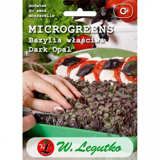 Microgreens Bazylia właściwa Dark Opal Legutko interface.image 5