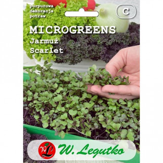 Microgreens Jarmuż Scarlet Legutko interface.image 4