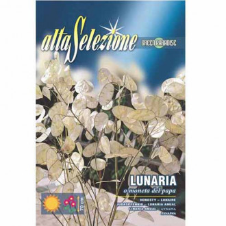 Miesiącznica roczna (Lunaria annua) Morami interface.image 2