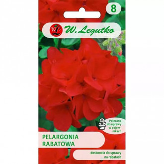 Pelargonia rabatowa Gama F1 czerwona Legutko interface.image 4
