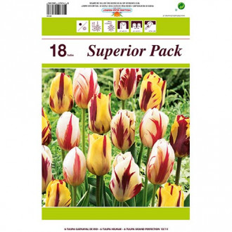 Super oferta! Tulipan Grace, zestaw 18 cebul interface.image 6