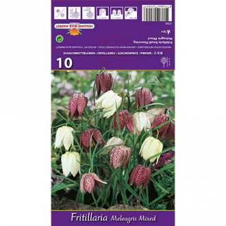 Szachownica kostkowata (Fritillaria), mieszanka interface.image 4