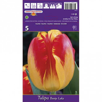 Tulipan Darwina Banja Luka interface.image 5