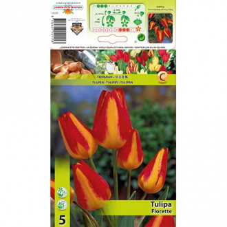 Tulipan Florette interface.image 3