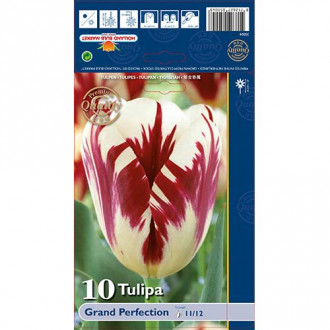 Tulipan Triumph Grand Perfection interface.image 6