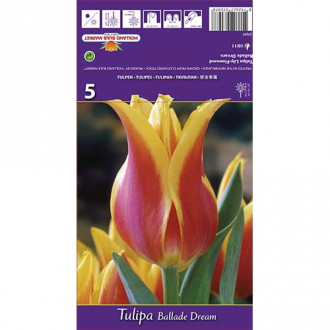 Tulipan liliokształtny Ballade Dream interface.image 5