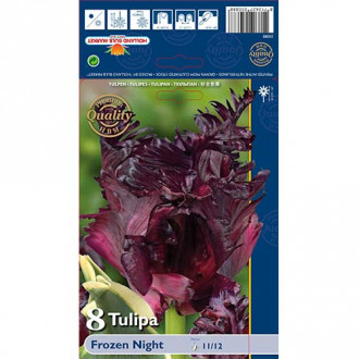 Tulipan papuzi Frozen Night interface.image 5