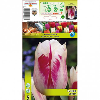 Tulipan Sorbet interface.image 4